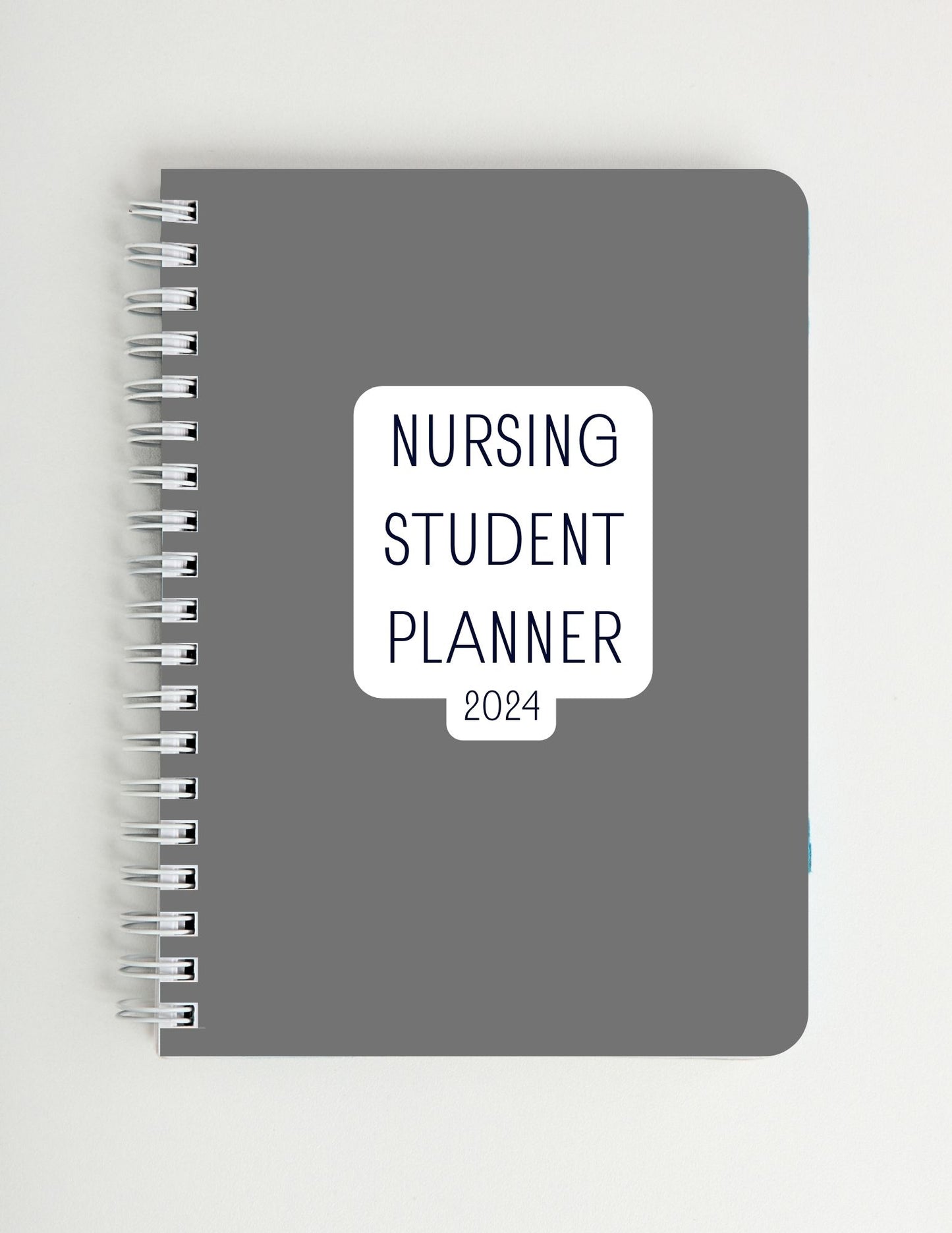 Planner- Nursing School 2025