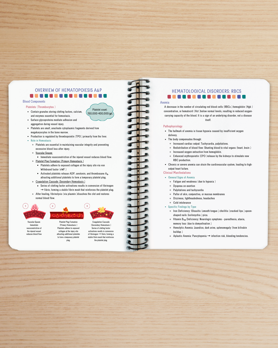 Medical-Surgical II Resource Guide