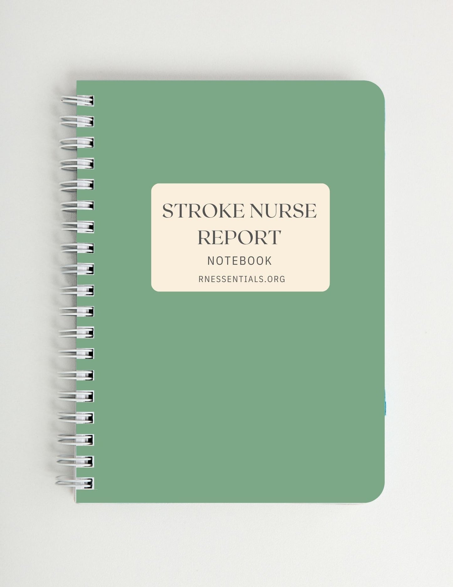 Stroke Nurse Report Notebook