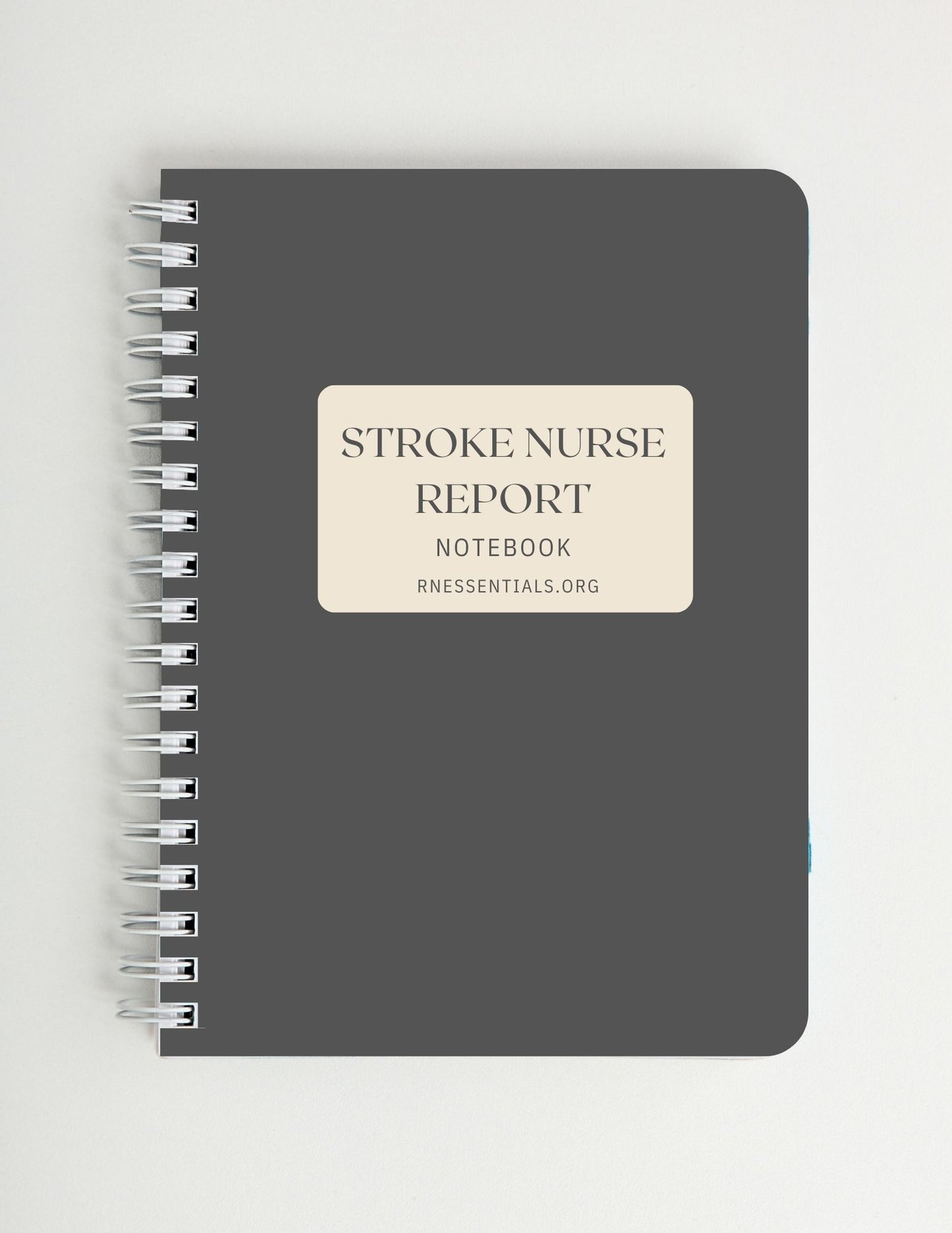 Stroke Nurse Report Notebook
