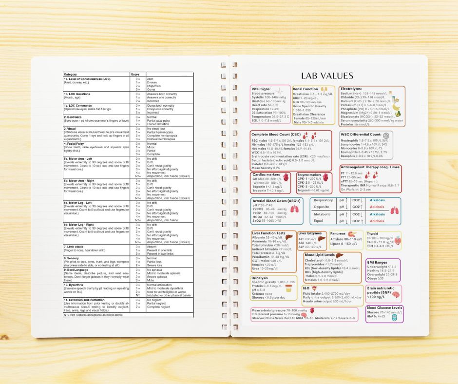 Stroke Nurse Report Notebook