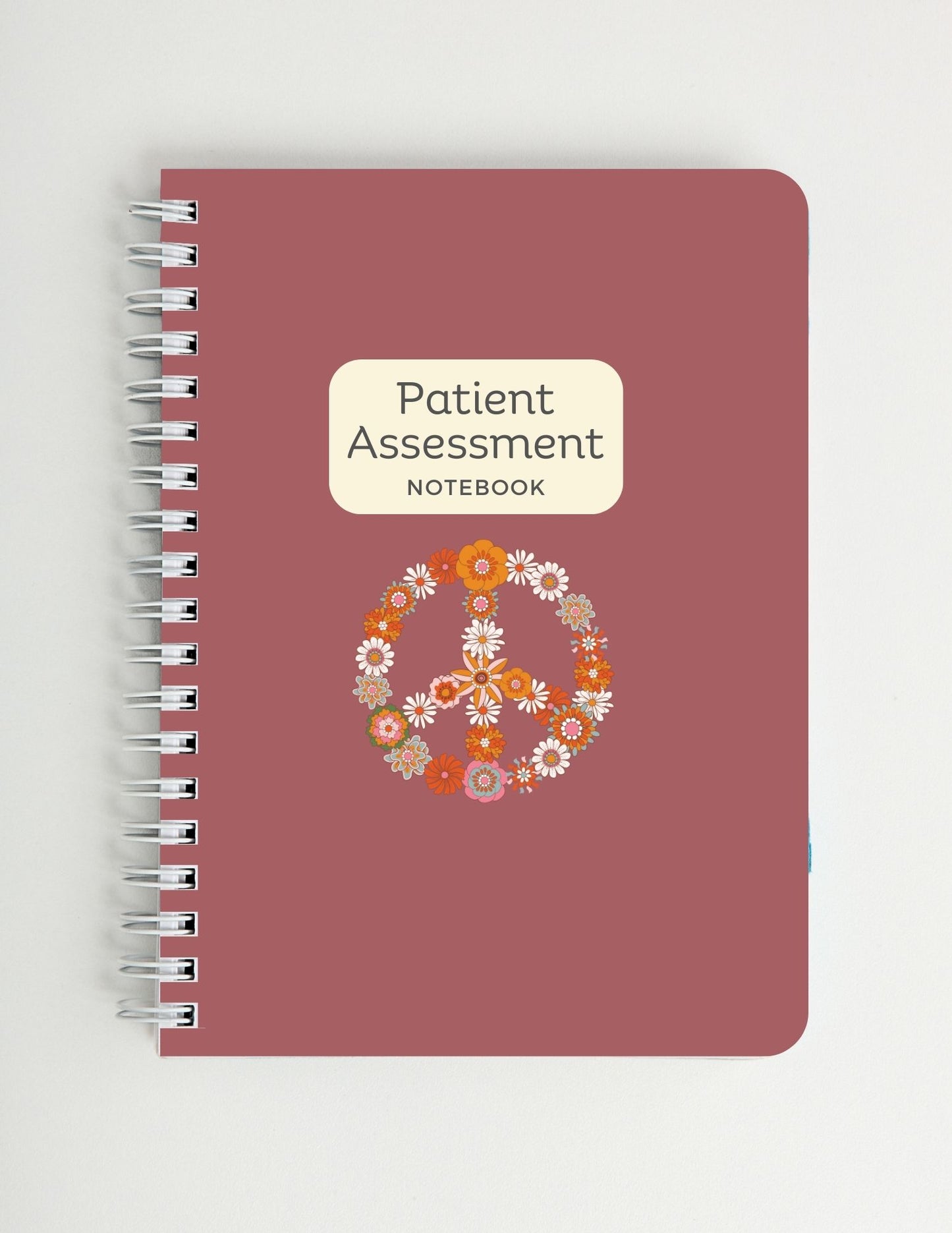 Patient Assessment Nurse Report Notebook