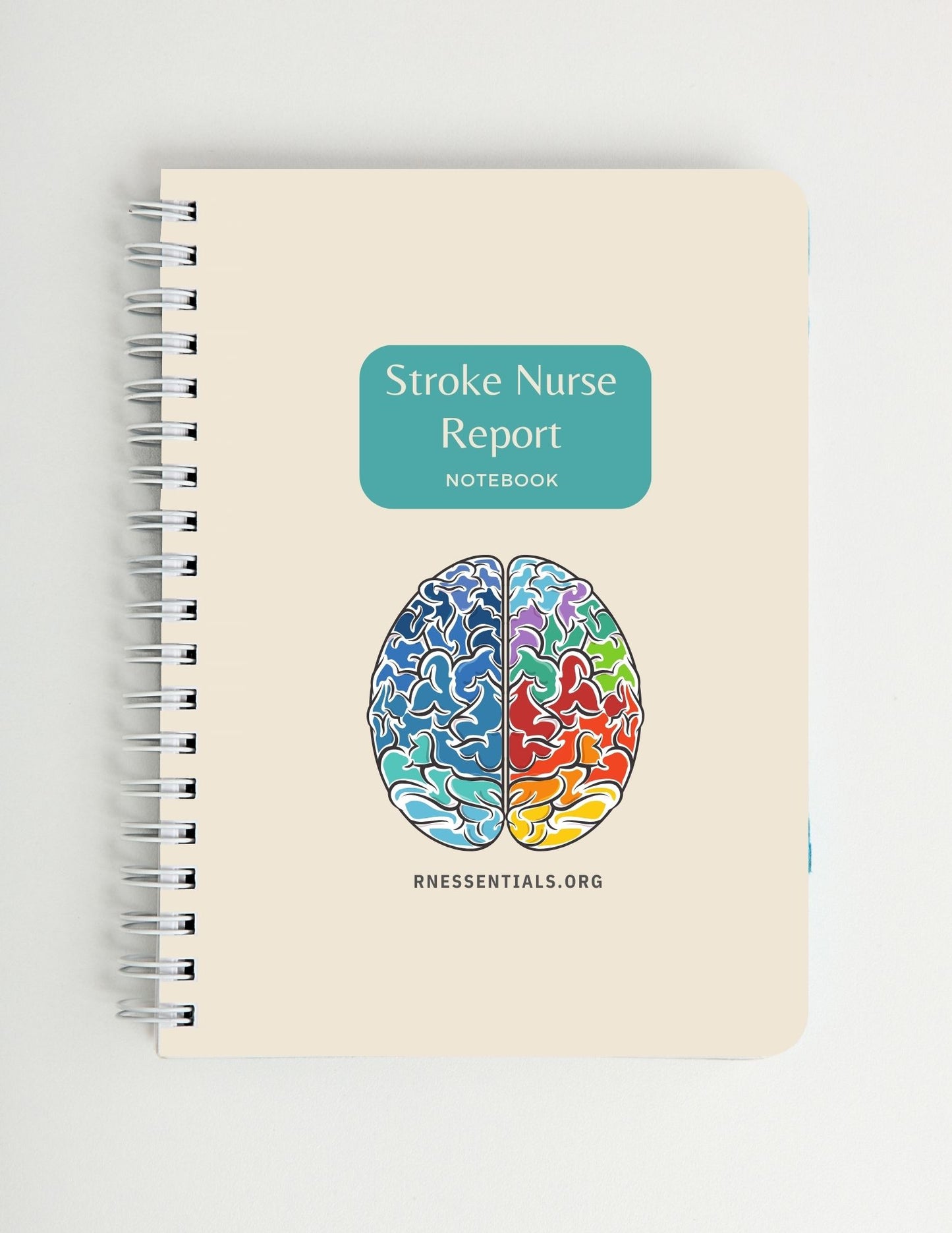 Stroke Nurse Report Notebook